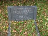 image of grave number 113599